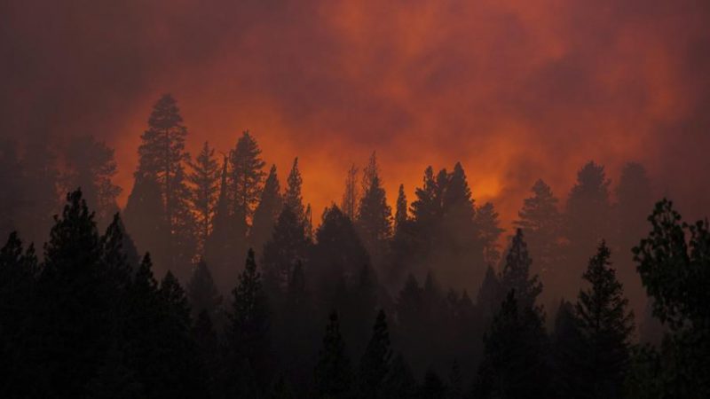 野火的毒性可能比科学家想象的更大